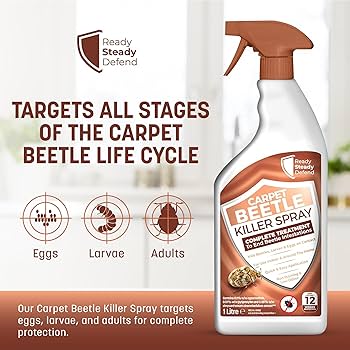 Жеке секс бейнелері Днепр секс кештері